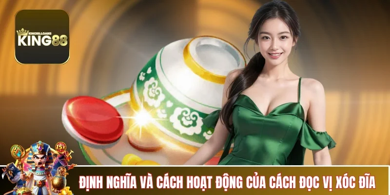 cach-doc-vi-xoc-dia-dinh-nghia