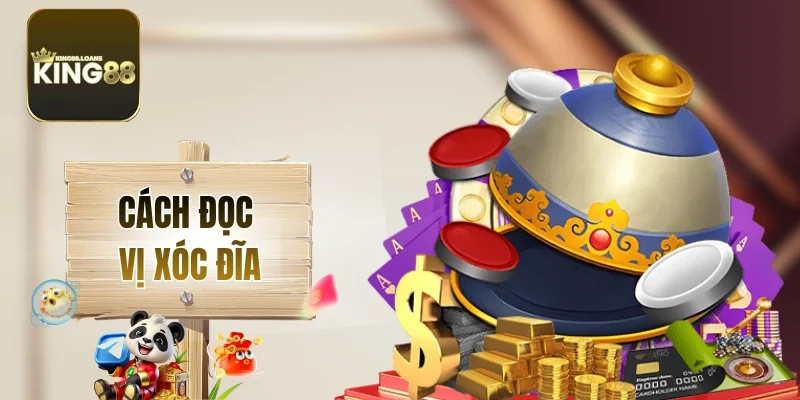 cach-doc-vi-xoc-dia-thumbnail
