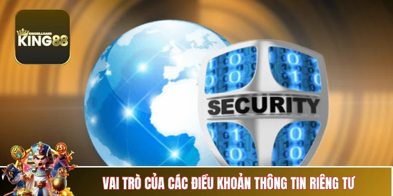 quyen-rieng-tu-vai-tro-thuc-te