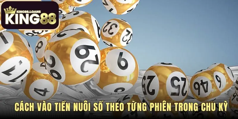 Cách bắt lô khung kết hợp phân bổ vốn theo từng phiên nuôi
