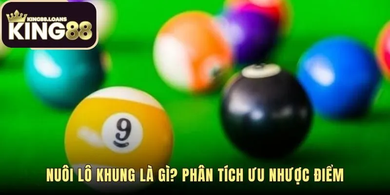 Hiểu rõ bản chất phương pháp nuôi lô khung qua ưu nhược điểm